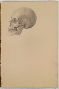 Anatomy Sketch Book, 1849 (skicář obsahující kresby v grafitu)