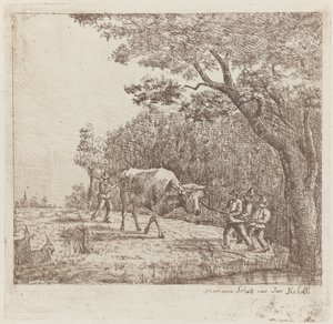 Čtyři muži a býk Jeden divoký býk (název na objektu) od Eberhard Cornelis Rahms