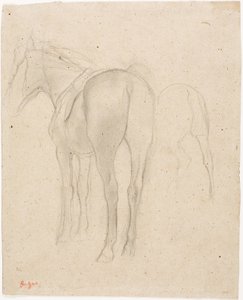 Studie koně od Edgar Degas