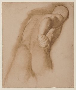 Studie po Agasiovi z Efesu, "Gladiator Borghese", kolem 1855 od Edgar Degas