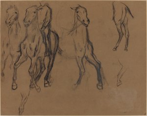 Studie koní, asi 1886 (uhel a grafit na hnědém papíře) od Edgar Degas