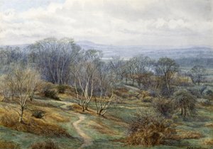 Hampstead Heath Looking Towards Harrow on the Hill, cca 1880 (wc na papíře) od Edith Martineau