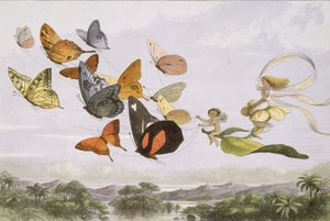 In Fairyland: A Series of Pictures from the Elf-World, 1870. od Edmund Evans