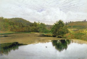 The Pool, 1860 (wc a pero a inkoust na papíře)