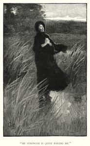 Ilustrace pro Jane Eyre od Charlotte Bronte (rytina) od Edmund Henry Garrett
