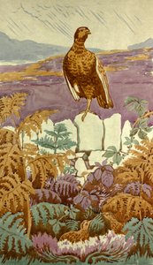Lookout on the Moor, cca 1930 (kvaš na papíře) od Edmund Hunter