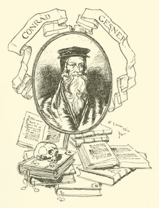 Konrád Gesner od Edmund Joseph after Sullivan