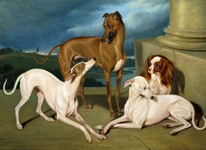 Ohaři a královský španěl, 1837 od Edmund Jr Havell