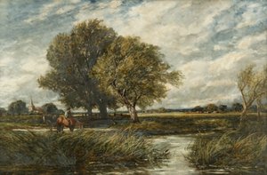 Napájení koní od Edmund Morison Wimperis