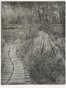 Světelná stezka, 1994