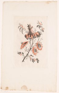 Květiny ve tvaru slunečníku Fleurs Idealle (název série) od Edouard Gautier Dagoty