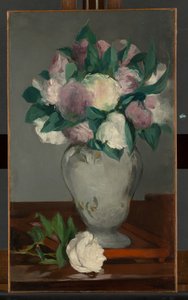 Pivoňky od Édouard Manet