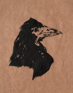 Havraní hlava od Édouard Manet