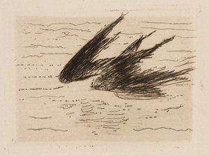 Vlaštovky, talíř 8 z knihy Le Fleuve od Édouard Manet