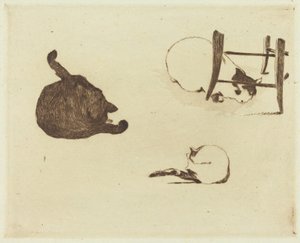 The Cats (Les chats) od Édouard Manet