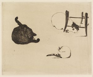 Kočky, 1869 od Édouard Manet