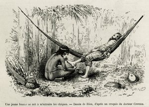 Mladá Roucouyanská žena získává shies, které v noci oslnily průzkumníkovy nohy. Rytina Riou, k ilustraci příběhu Cayenne aux Andes, od Julese Crevauxe, doktora francouzského námořnictva, v letech 1878-1879, publikovaná v Tour du monde, un od Edouard Riou