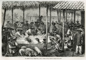 Kohoutí zápasy a pouliční animace v Ibague (Kolumbie), kresba Riou, k ilustraci příběhu Equinoxiale America (Kolumbie, Ekvádor, Peru), v letech 1875-1876, Ed. andre, pověření cestovní mise francouzské vlády. Rytina v Le tour du monde od Edouard Riou