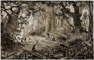 Instalace tábora průzkumníků v Guatemale (1882) od Edouard Riou