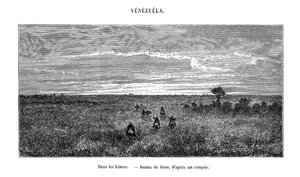 Los Llanos, Venezuela, 19. století od Edouard Riou