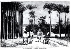 Place des Palmistes, Cayenne, Guyana od Edouard Riou