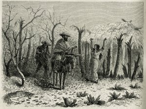 The Clouds of Grasshoppers of the Vallee du Upper Patia, s vypravěčem plavby na jeho mule, rytina Riou, pro ilustraci příběhu L