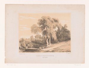 Landschapsstudie (název na objektu) od Edouard Taurel