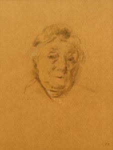 Portrét paní Bénardové, pohled zepředu od Edouard Vuillard