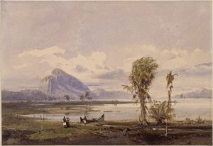 Pohled na jezero Lagoa Rodrigo de Freitas u Ria de Janeira od Eduard Hildebrandt