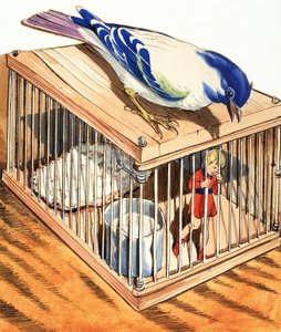 Tom Thumb v ptačí kleci od Eduardo Teixeira Coelho