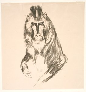 Gorila (pevnina) od Edvard Munch