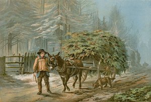 Holly Cart (barevný lito)