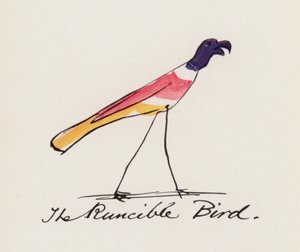 Edward Lear, The Bird Book: The Runcible Bird (barevné lito)