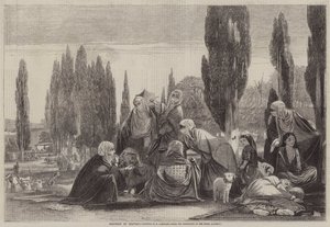 Suvenýr ze Scutari od Edward A. Armitage