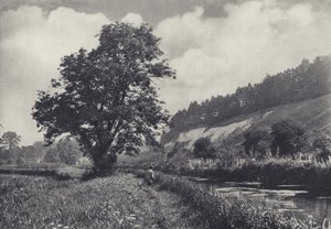 Velký jasan na hlavním převozníku, Leckford (čb fotografie) od Edward Alfred Barton