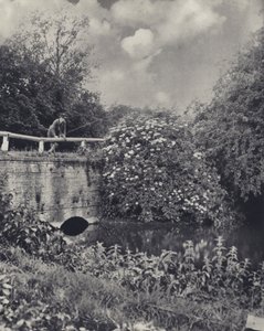 Most přes kanál Frays, Uxbridge (čb fotografie) od Edward Alfred Barton