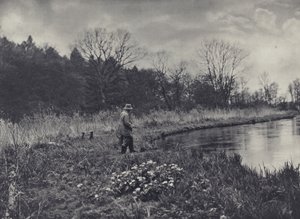 První jarní hlaváčky (čb foto) od Edward Alfred Barton