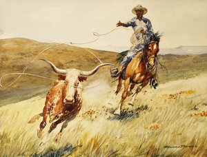 Lanování Steer