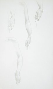 Studie paží a rukou (líc); Studie ženského trupu (rub) od Edward Burne-Jones