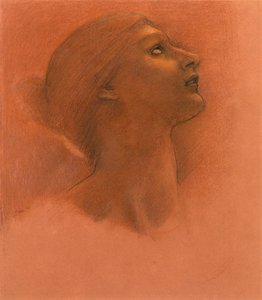 Studie pro 
