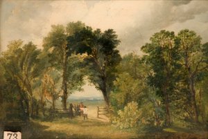 Woodland Glade