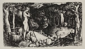Ideální pastorační život od Edward Calvert