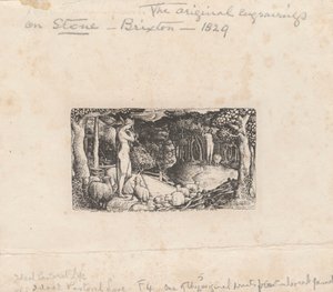 Ideální pastorační život od Edward Calvert