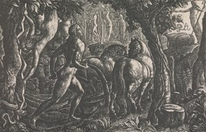 Oráč od Edward Calvert