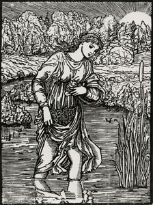Úkol Rákosí od Edward Coley (after) Burne Jones