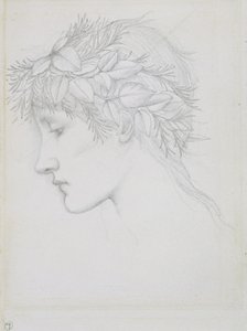 Hlava korunovaná listy, asi 1897 (tužka na papíře) od Edward Coley Burne Jones