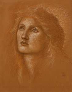 Hlava ženy, 1890 od Edward Burne Jones