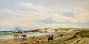 The Bass Rock od Edward Duncan