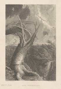 Vichřice od Edward Gallaudet, after Thomas Cole