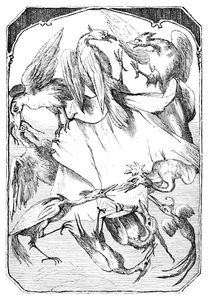 Oslí zelí, 1901